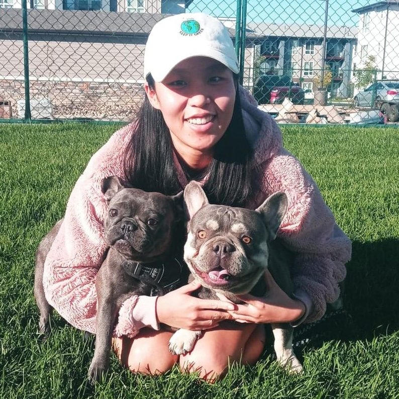 Quality French Bulldog Colorado