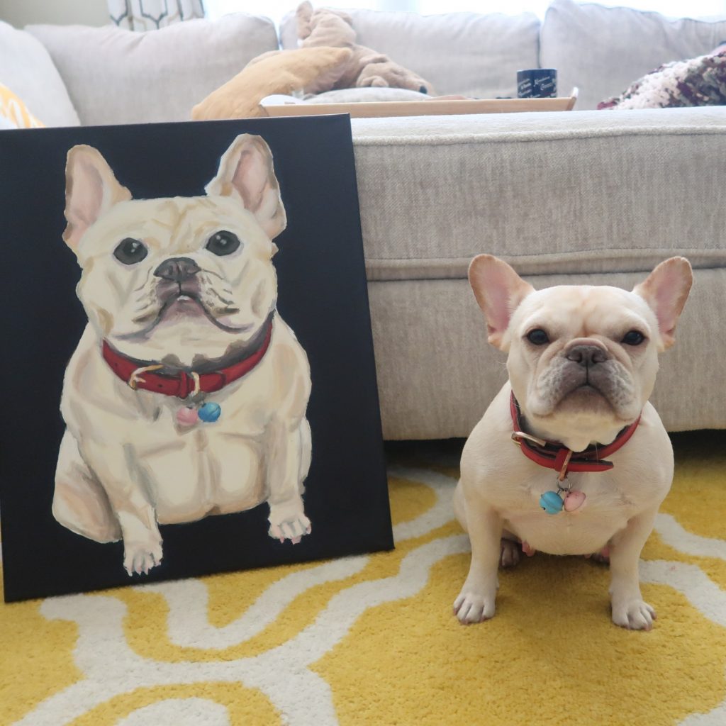 Cutest French Bulldog in the world